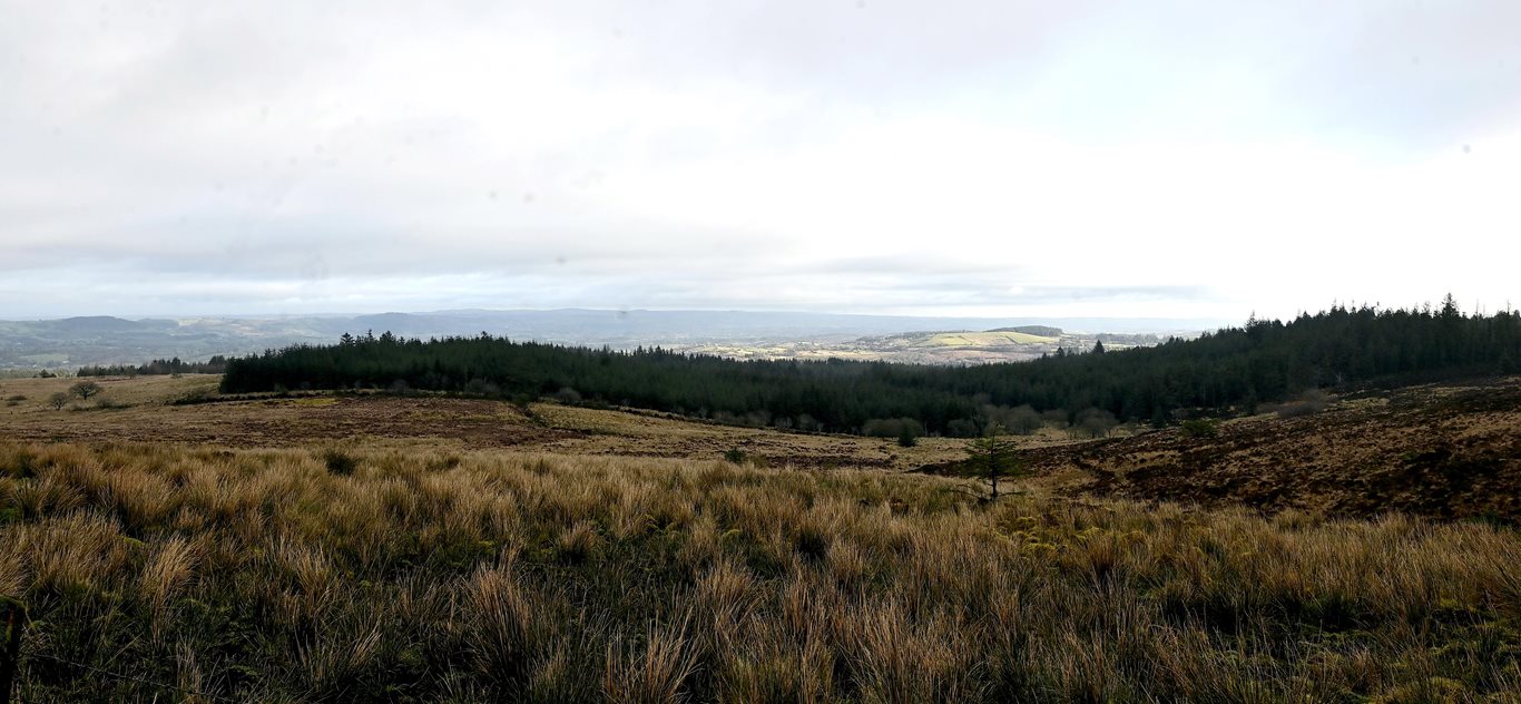 View of the Sliabh Beagh area with hills and forests